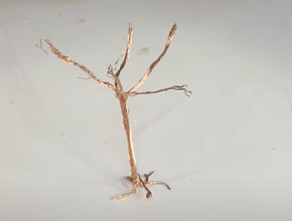 alberi modellismo